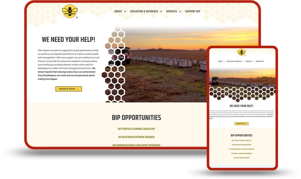 redflippers-web-design redflippers web design