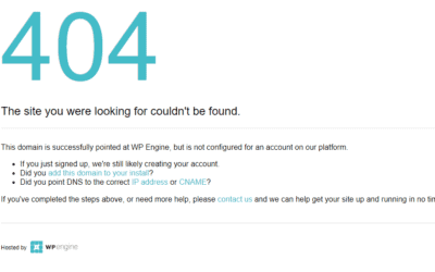 WP Engine 404 Fiasco: A Tale of Mismanagement and Inconvenience